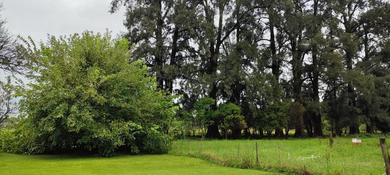 Cherbury Winterton Buitenkant foto